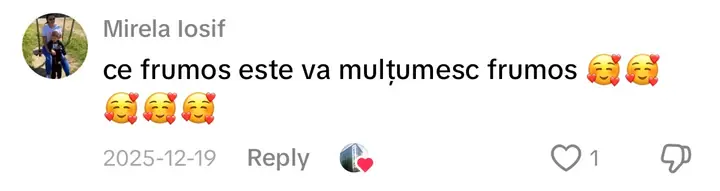 Comentariu pe TikTok: „ce frumos este va mulțumesc frumos”