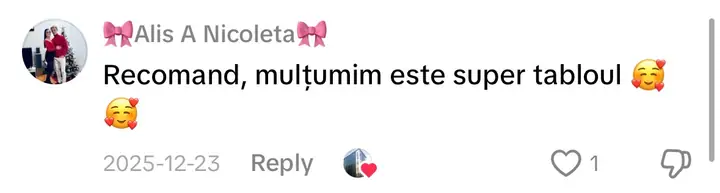 Comentariu pe TikTok: „Recomand, mulțumim este super tabloul”