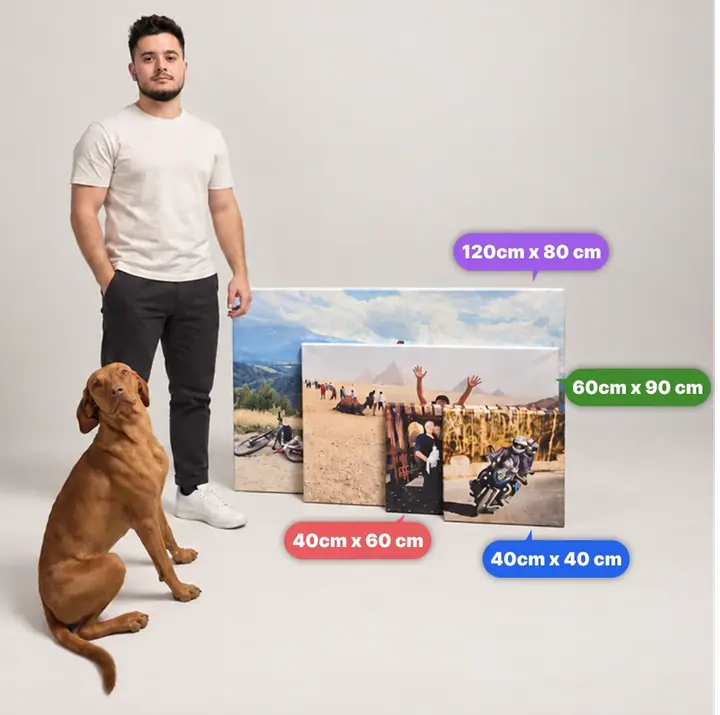 Comparație de mărimi: tablouri de 120 × 80, 60 × 90, 40 × 60 și 40 × 40 cm, lângă o persoană și un câine