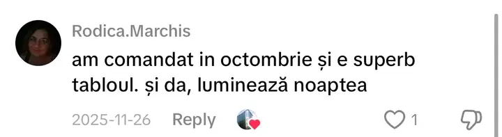 Comentariu pe TikTok: „am comandat in octombrie și e superb tabloul. și da, luminează noaptea”