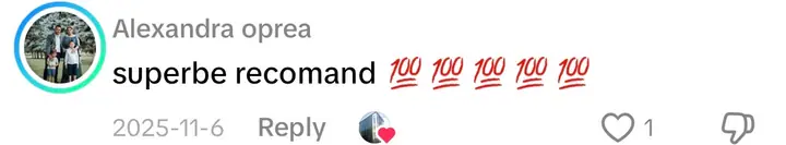 Comentariu pe TikTok: „superbe recomand”