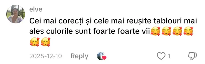 Comentariu pe TikTok: „Cei mai corecți și cele mai reușite tablouri mai ales culorile sunt foarte foarte vii”