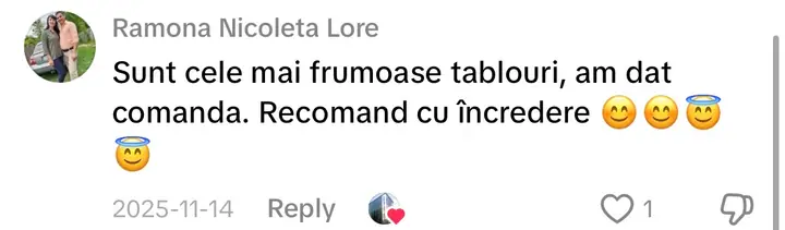 Comentariu pe TikTok: „Sunt cele mai frumoase tablouri, am dat comanda. Recomand cu încredere”