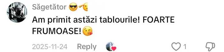 Comentariu pe TikTok: „Am primit astăzi tablourile! FOARTE FRUMOASE!”